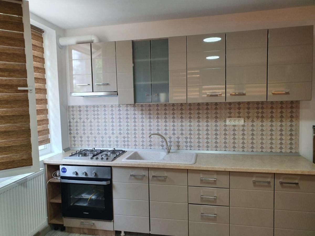 Apartament Negris Birlad Exterior foto